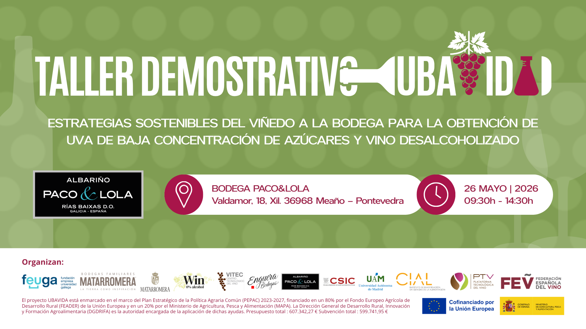 UBAVIDA_Taller P&L_PS.png